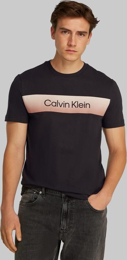 Calvin Klein T-shirt LINEAR OMBRE CHEST LOGO T-SHIRT - Foto 6