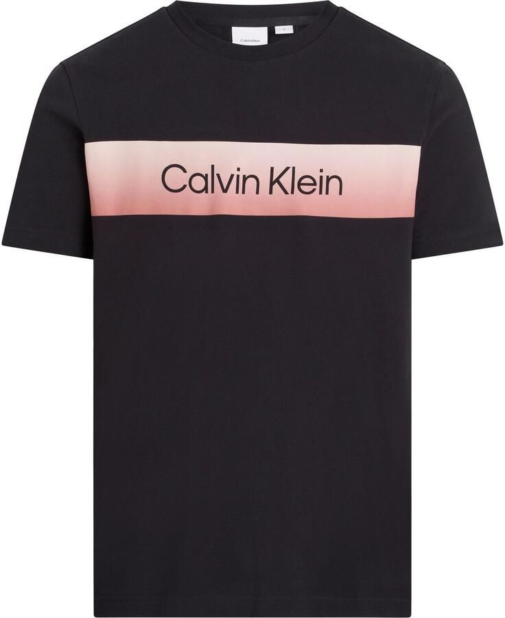 Calvin Klein T-shirt LINEAR OMBRE CHEST LOGO T-SHIRT