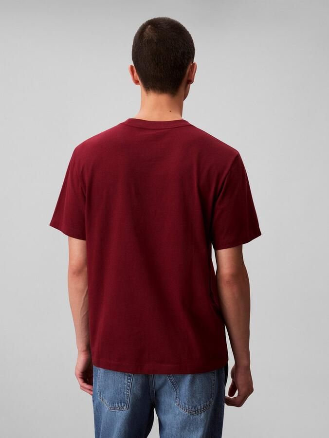 Calvin Klein T-shirt SS 20S EU CALVIN CURSIVE GRAPHIC - Foto 4