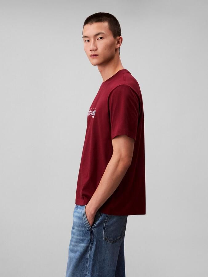 Calvin Klein T-shirt SS 20S EU CALVIN CURSIVE GRAPHIC - Foto 5
