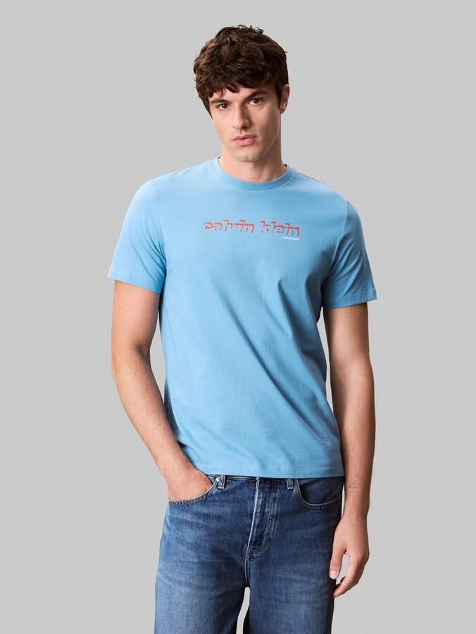Calvin Klein T-shirt SS 30s E CLVN LN 3D - Foto 4