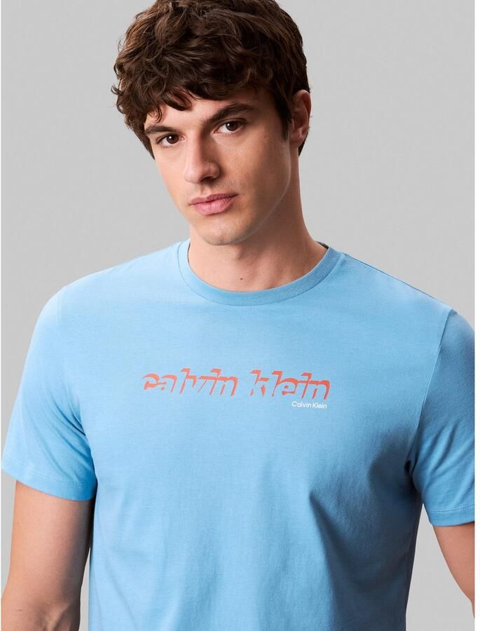 Calvin Klein T-shirt SS 30s E CLVN LN 3D - Foto 2