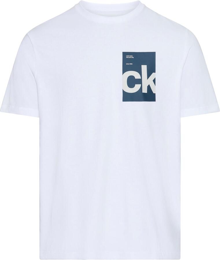 Calvin Klein T-shirt SS 30s EU BH BOX GRAPHIC TEE - Foto 2