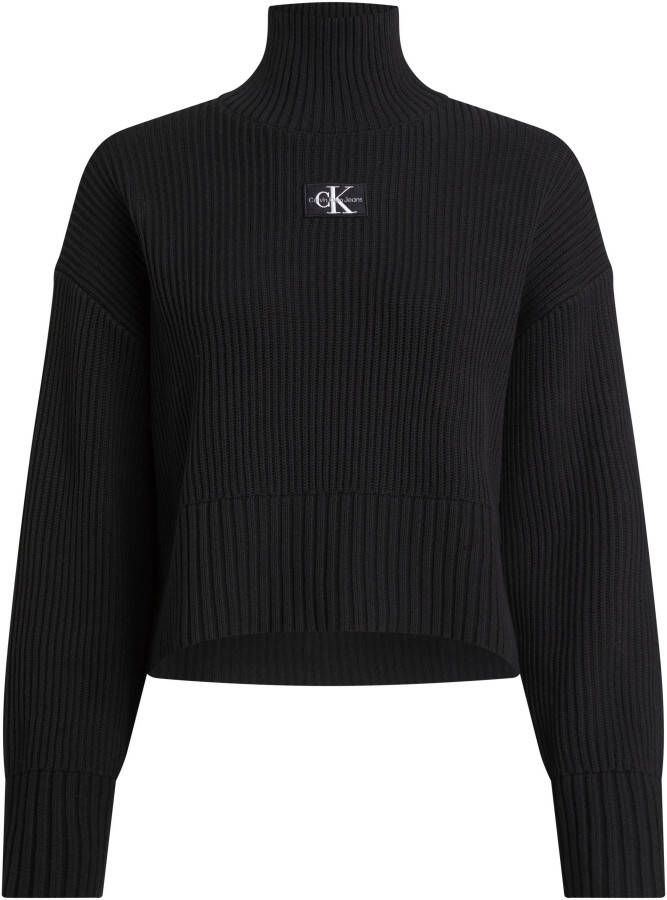 Calvin Klein Jeans Plus Coltrui PLUS LABEL CHUNKY SWEATER