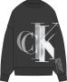 Calvin Klein Comfortabele Zwarte Oversized Hoodie Black Dames - Thumbnail 2