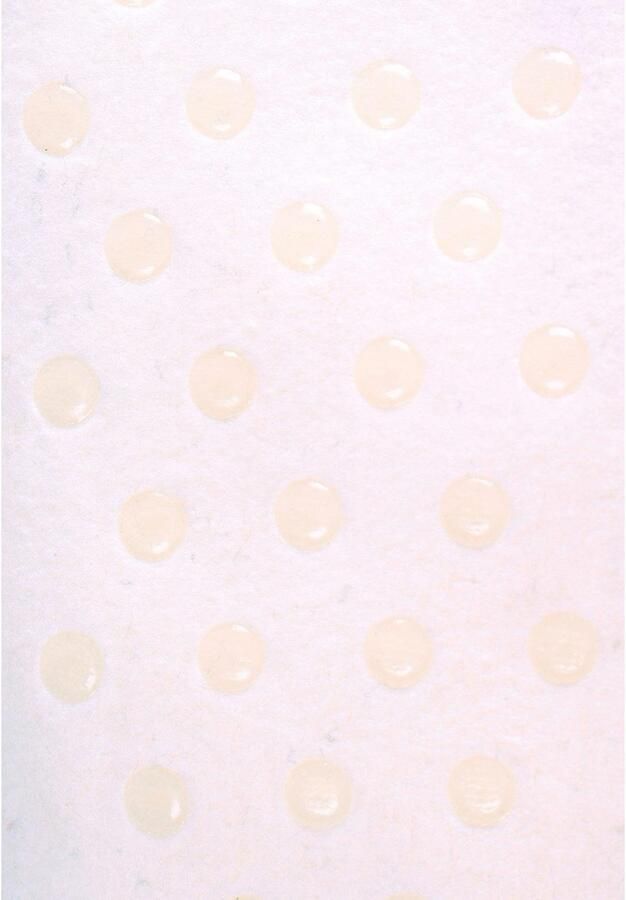 Capelli New York Huissokken met antislipzool (1 paar) - Foto 2