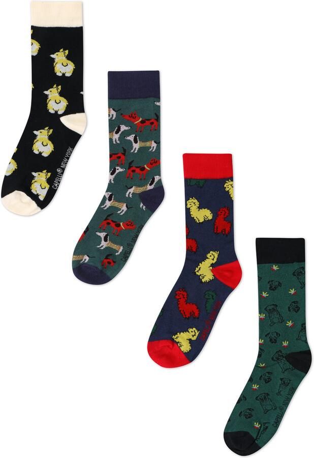 Capelli New York Sokken kleurige 4-pack met verschillende hondenmotieven (4 paar) - Foto 5