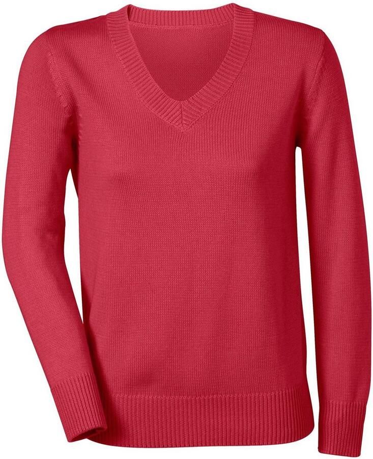 Casual Looks Trui met V-hals Trui