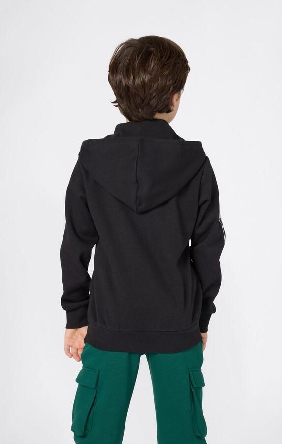 Champion Capuchonsweatvest ICONS CONTRAST Full Zip Hoodie (1-delig)