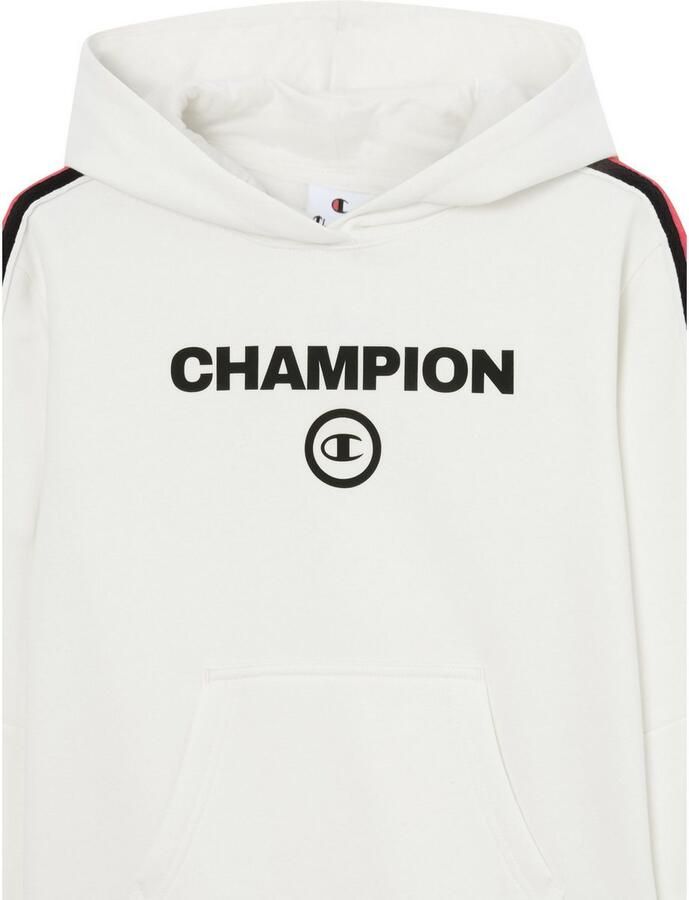 Champion Hoodie (1-delig)