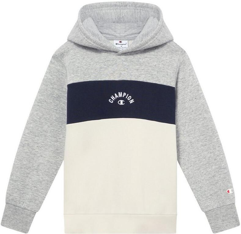 Champion Hoodie (1-delig)