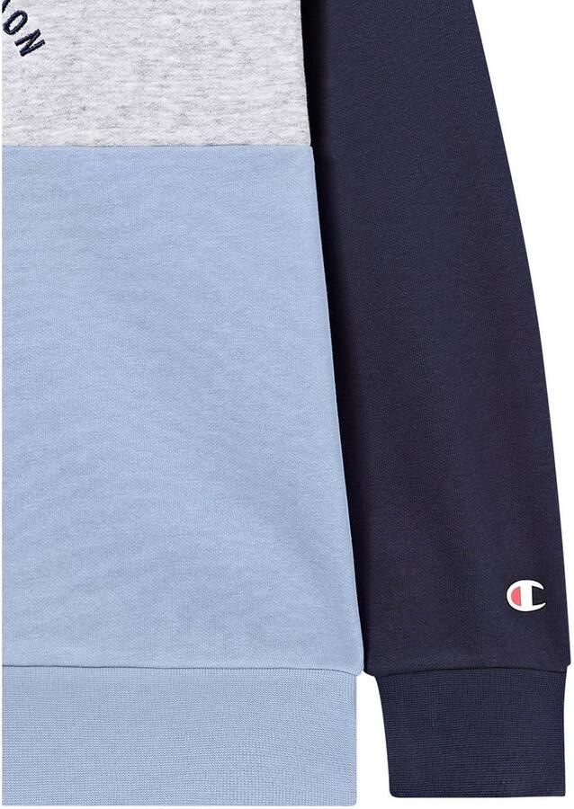 Champion Hoodie (1-delig)