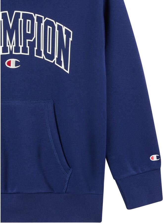 Champion Hoodie (1-delig)