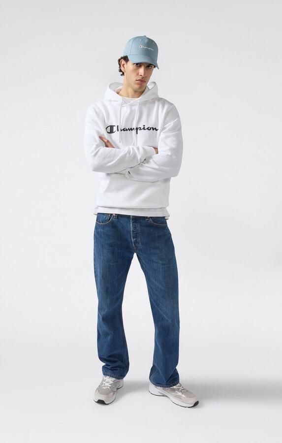 Champion Hoodie BASICS Fleece Hoodie Large Logo (1-delig) - Foto 2