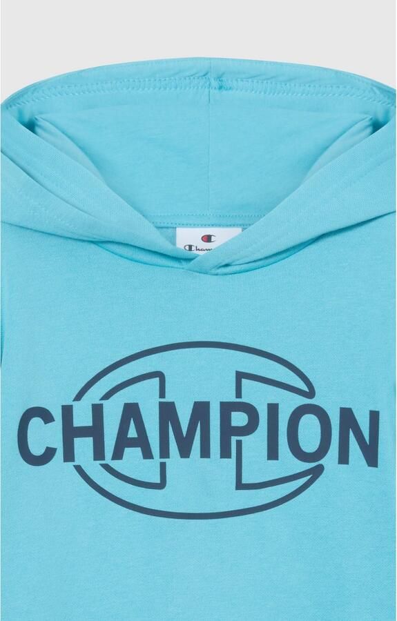Champion Hoodie Graphic Hoodie (1-delig)