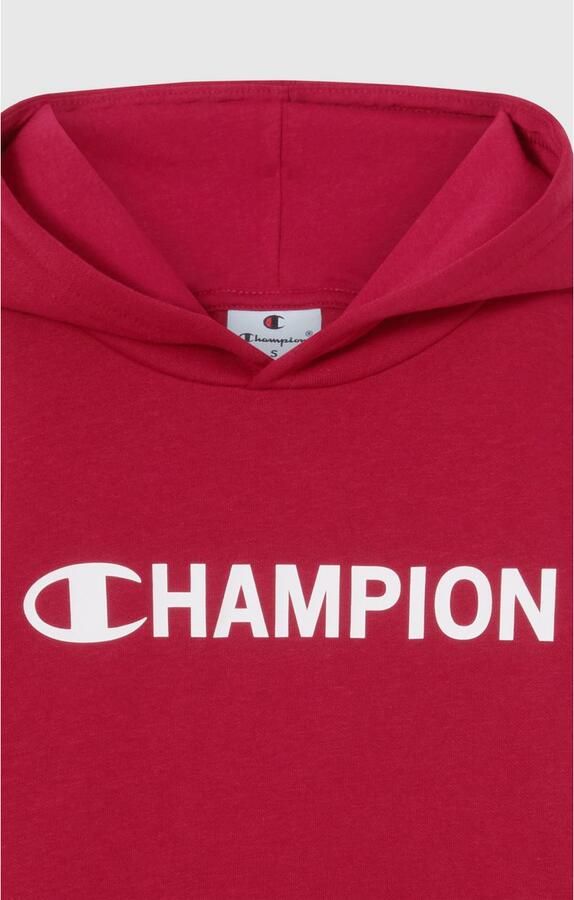 Champion Hoodie Graphic Hoodie (1-delig)