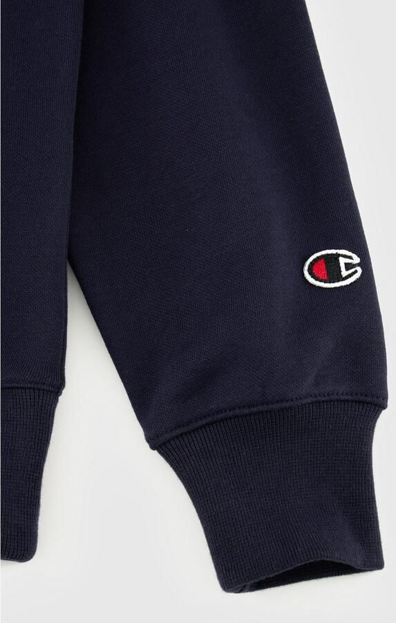 Champion Hoodie HOODED sweatshirt