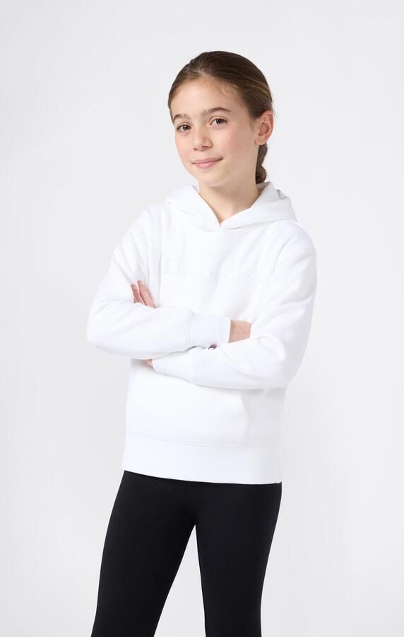 Champion Hoodie ICONS Hoodie (1-delig) - Foto 5