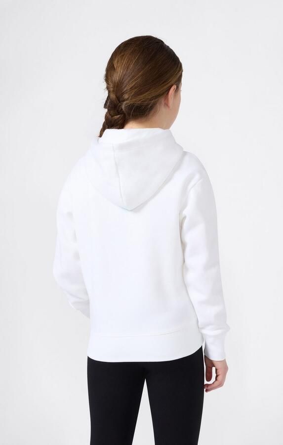 Champion Hoodie ICONS Hoodie (1-delig)