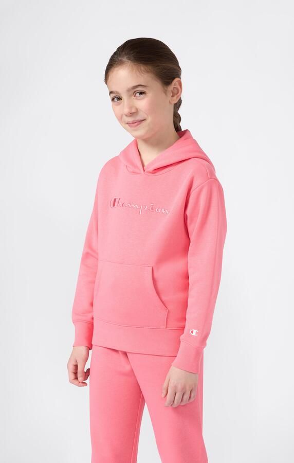 Champion Hoodie ICONS Hoodie (1-delig) - Foto 5