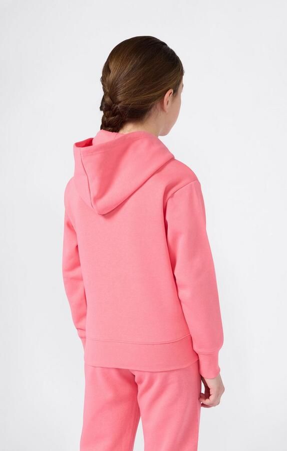 Champion Hoodie ICONS Hoodie (1-delig)