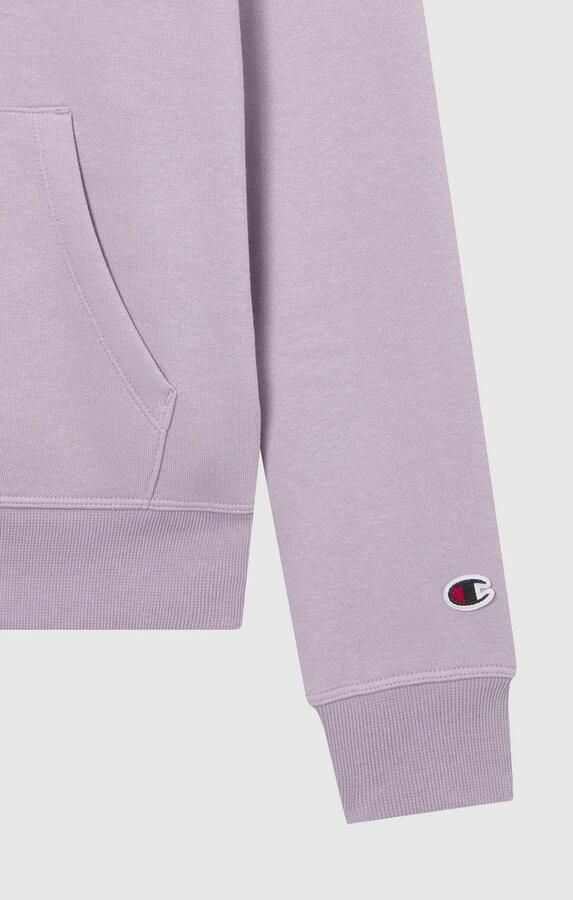 Champion Hoodie ICONS TONAL Hoodie (1-delig) - Foto 5