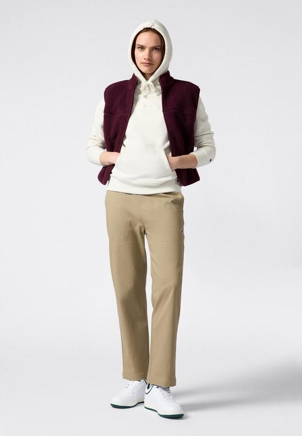 Champion Hoodie ICONS TONAL Hoodie (1-delig) - Foto 4