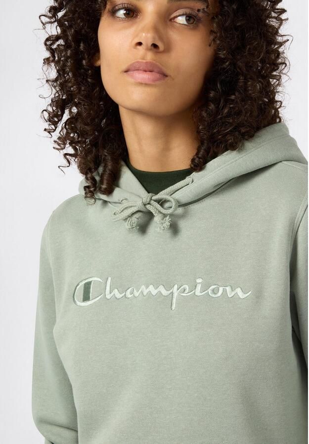 Champion Hoodie ICONS TONAL Hoodie (1-delig) - Foto 2