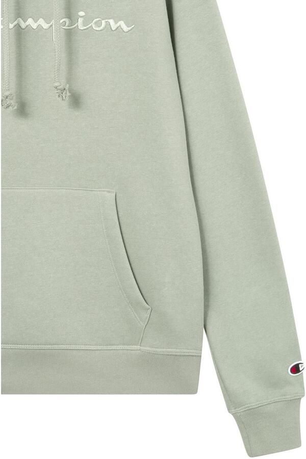 Champion Hoodie ICONS TONAL Hoodie (1-delig) - Foto 4