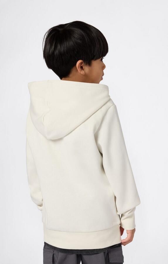 Champion Regular fit hoodie met logostitching model 'Icons' - Foto 4