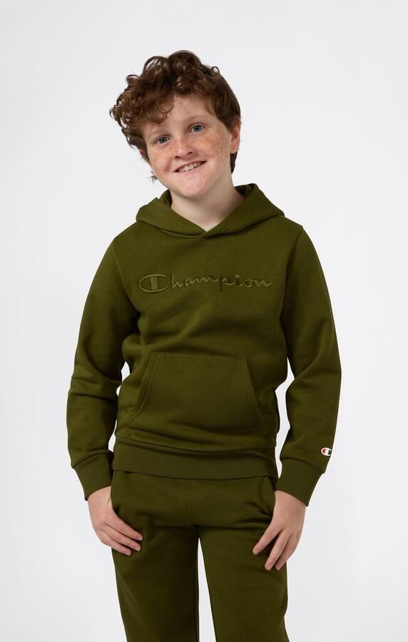 Champion Hoodie ICONS TONAL Hoodie Large Logo (1-delig) - Foto 5