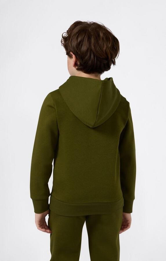 Champion Hoodie ICONS TONAL Hoodie Large Logo (1-delig)