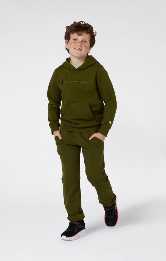 Champion Hoodie ICONS TONAL Hoodie Large Logo (1-delig) - Foto 2