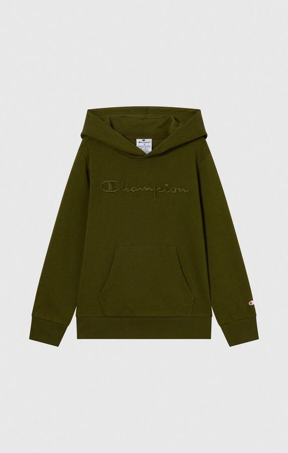 Champion Hoodie ICONS TONAL Hoodie Large Logo (1-delig) - Foto 3