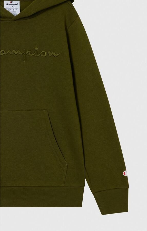 Champion Hoodie ICONS TONAL Hoodie Large Logo (1-delig) - Foto 4