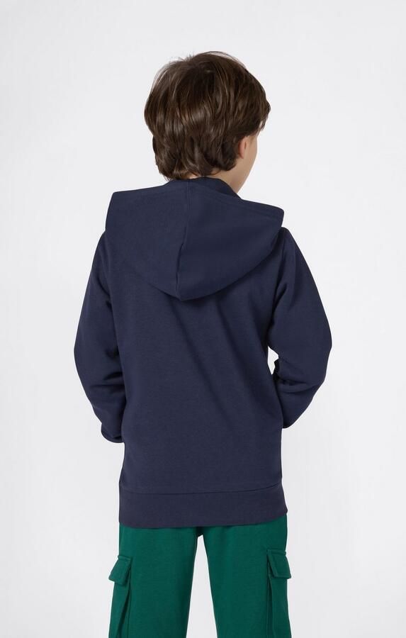 Champion Regular fit hoodie met logostitching model 'Icons'