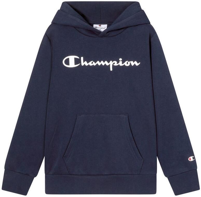 Champion Script Logo Hoodie Junior