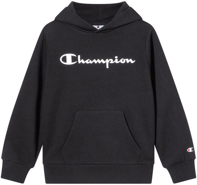 Champion Script Logo Hoodie Junior