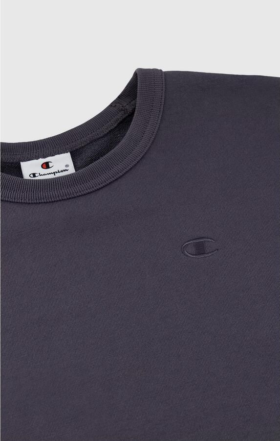 Champion Sweatshirt ICONS TONAL Terry Crewneck Sweatshirt (1-delig)