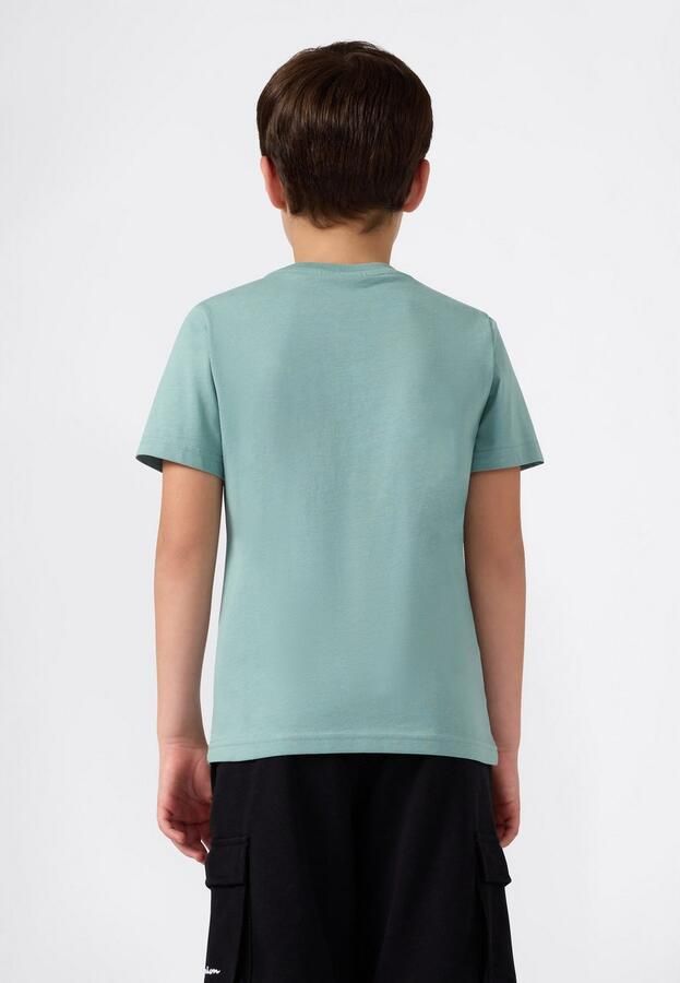 Champion T-shirt ICONS CONTRAST Crewneck T-Shirt (1-delig) - Foto 2