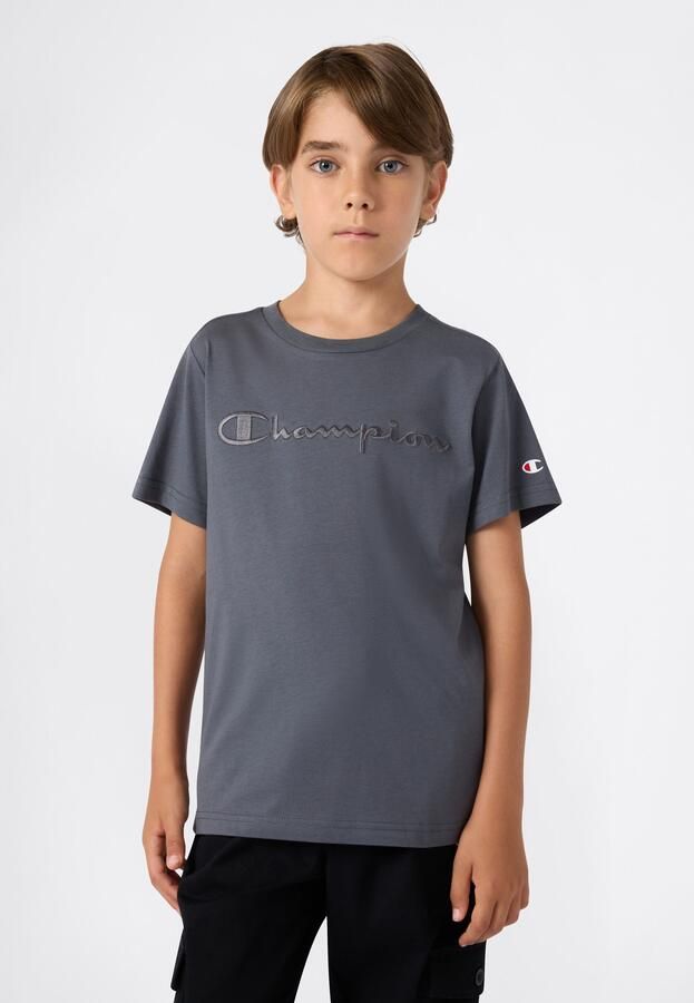 Champion T-shirt ICONS TONAL Crewneck T-Shirt with Large Logo - Foto 5