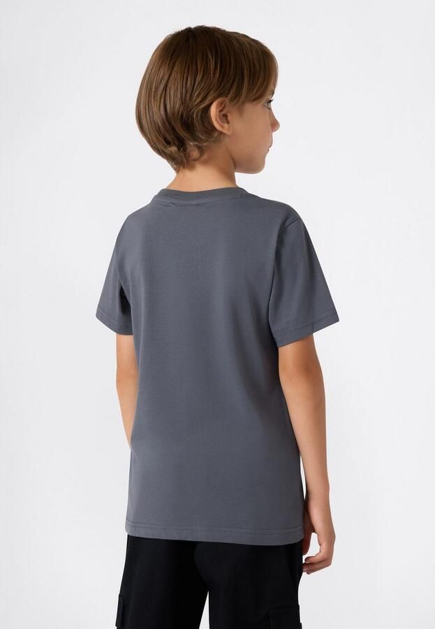 Champion T-shirt ICONS TONAL Crewneck T-Shirt with Large Logo - Foto 3