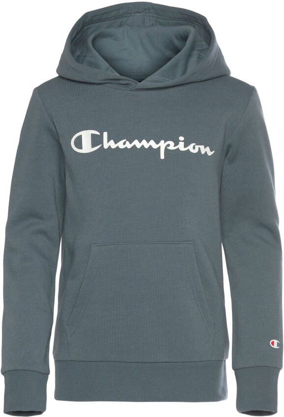 Champion Comfortabele en stijlvolle hoodie Gray Heren