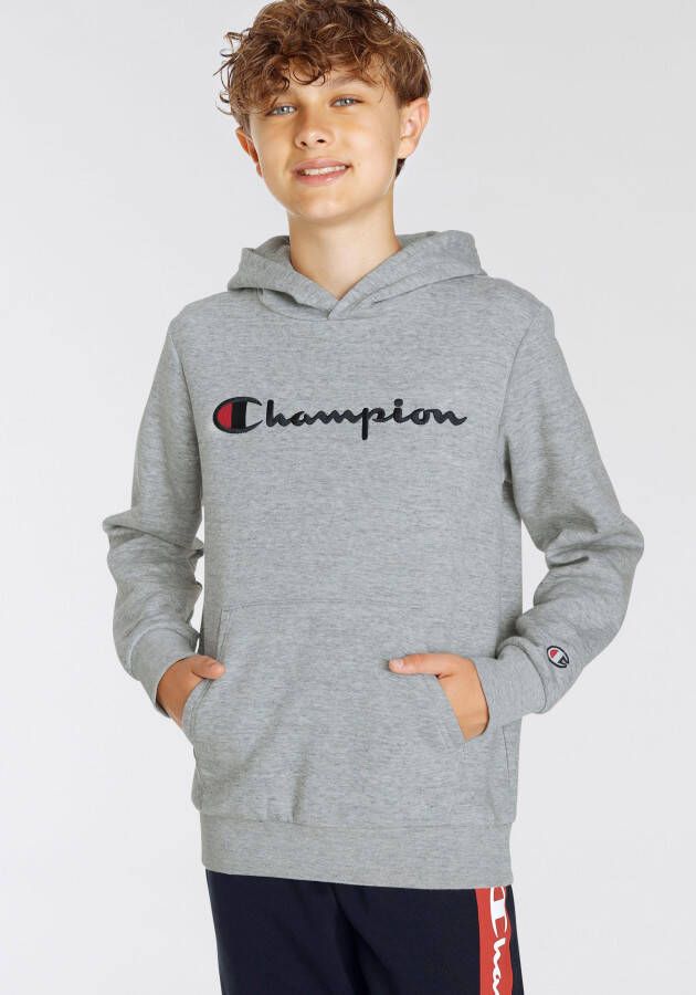 Champion Junior Geborduurde Script Logo Hoodie Gray Heren