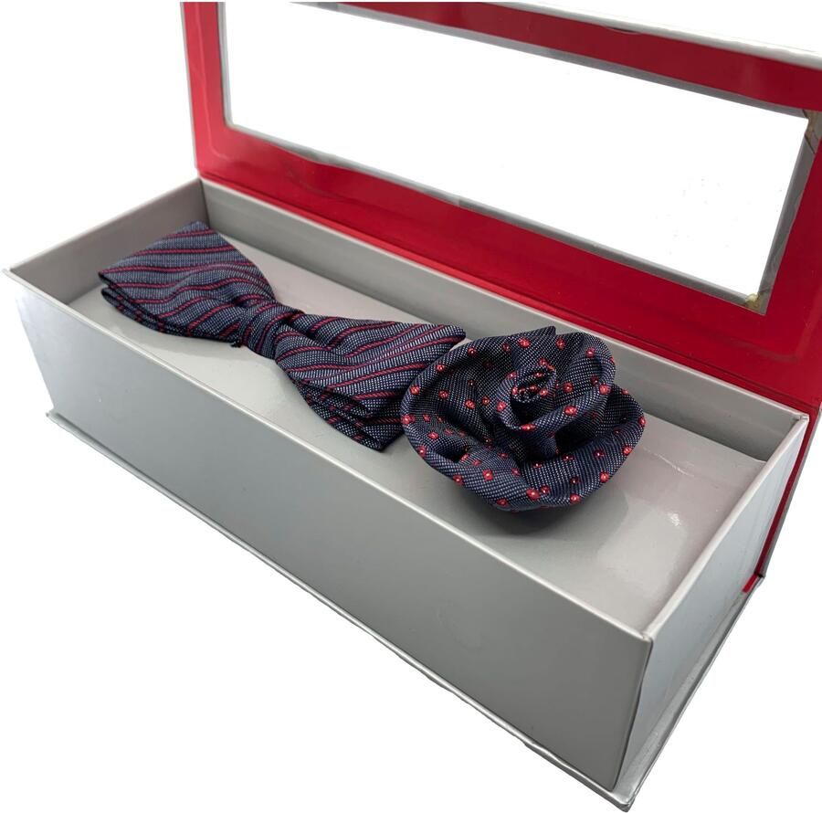 Cinque Vlinderdasje van zuivere zijde (set 2 stuks)