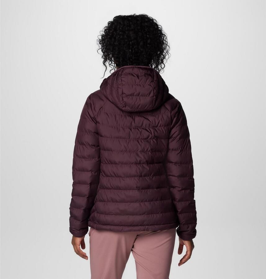 Columbia Gewatteerde jas POWDER LITE II HOODED JACKET (1 stuk) - Foto 2