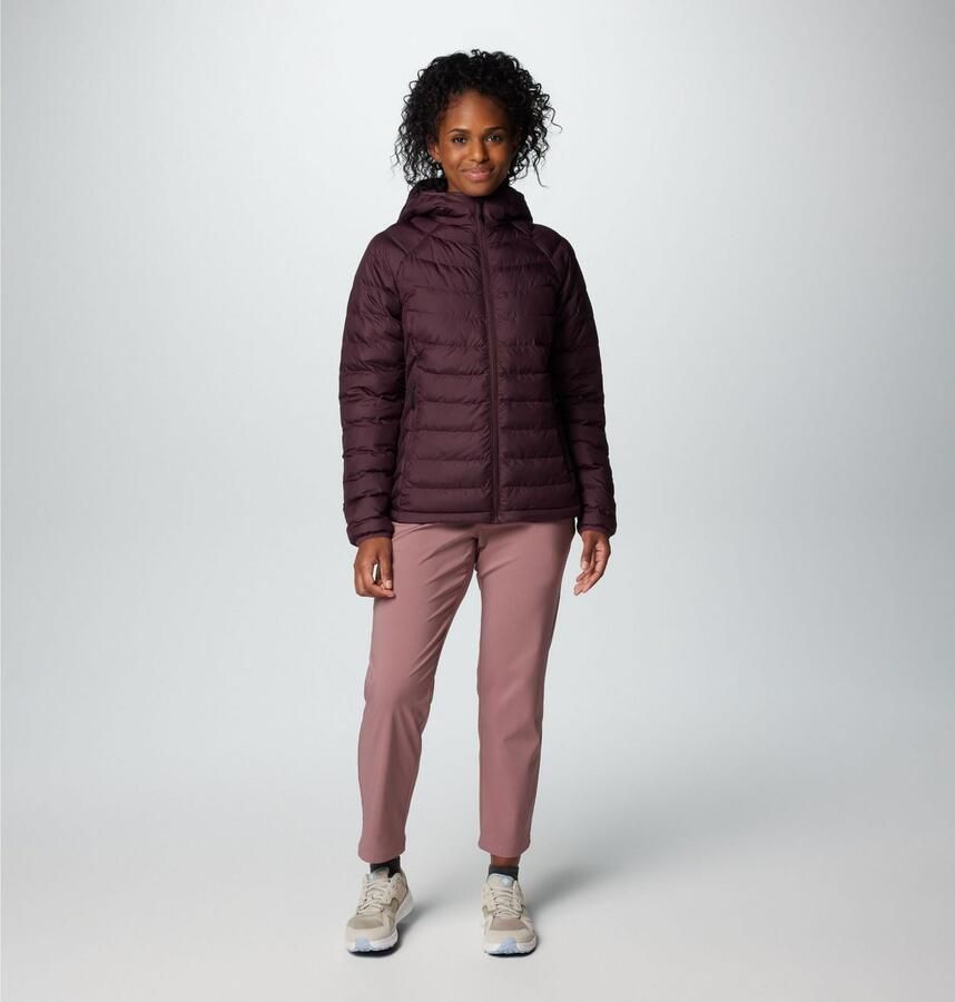 Columbia Gewatteerde jas POWDER LITE II HOODED JACKET (1 stuk) - Foto 4