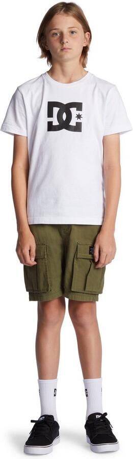 DC Shoes Cargoshort Toendra - Foto 5
