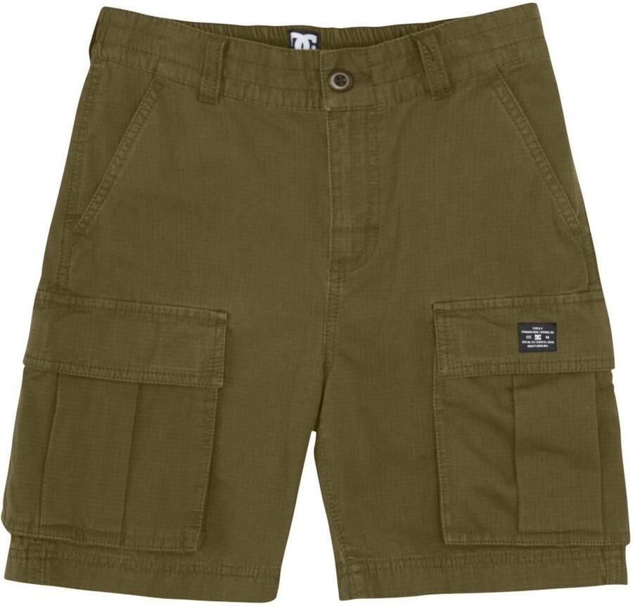 DC Shoes Cargoshort Toendra