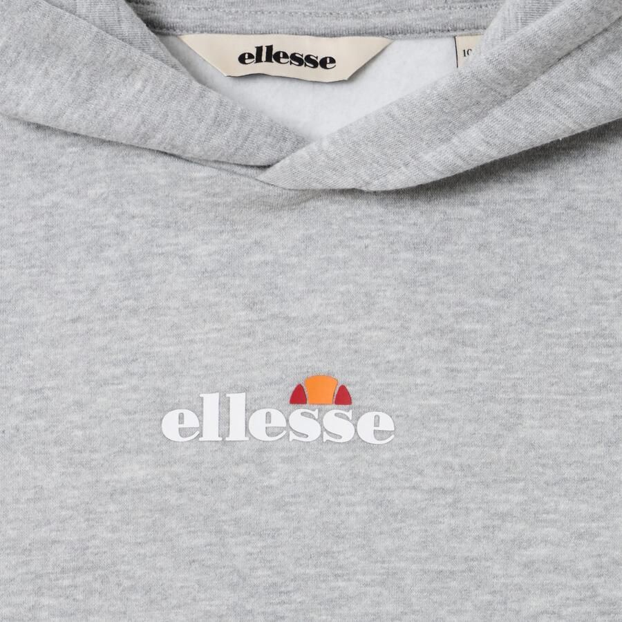 Ellesse Hoodie
